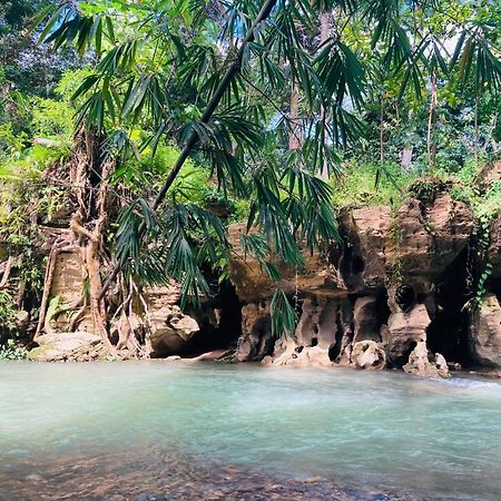 R5 Keramba Inn Bukit Lawang Ngoại thất bức ảnh