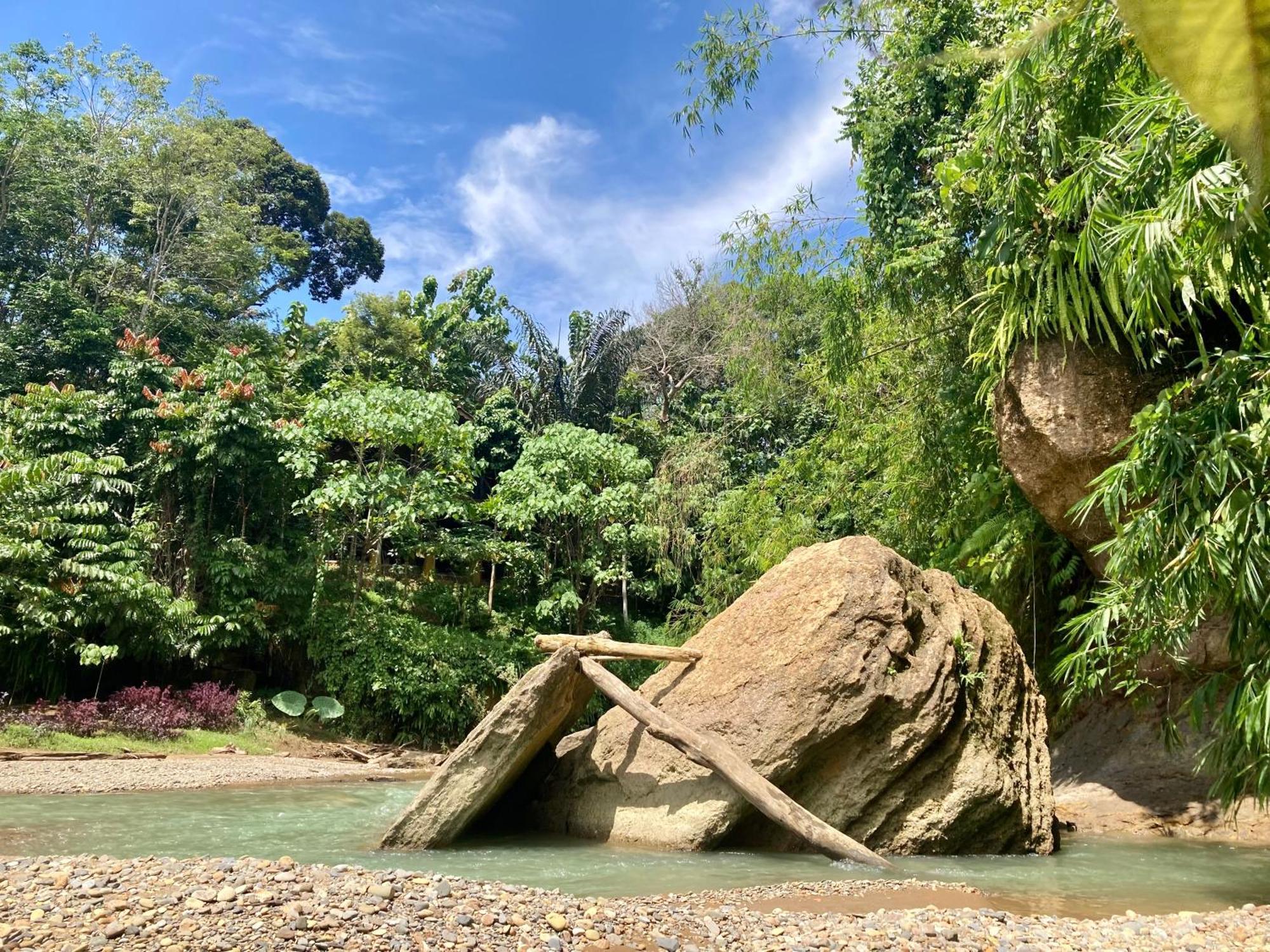 R5 Keramba Inn Bukit Lawang Ngoại thất bức ảnh